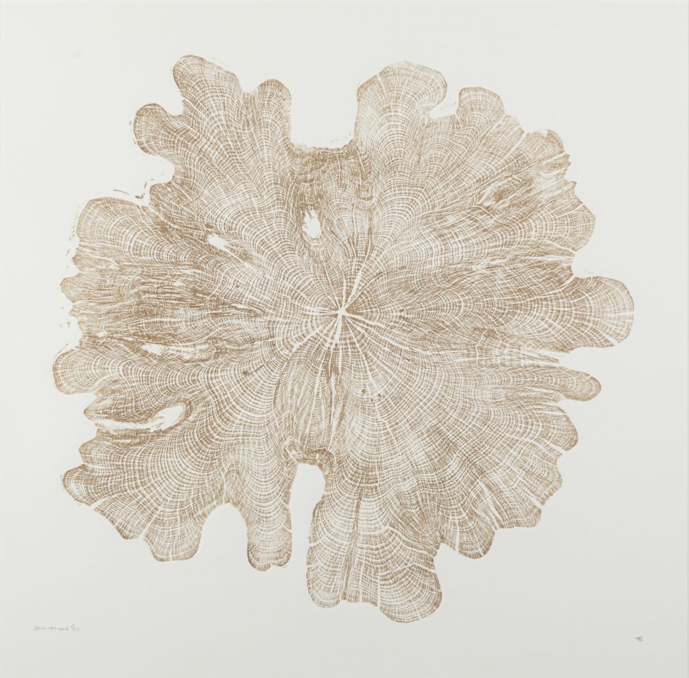 Golden Yew 1913-2018 by Shona Branigan, Relief Print