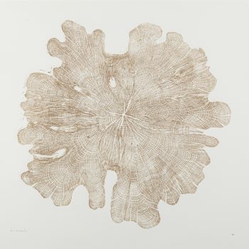Golden Yew 1913-2018 by Shona Branigan, Relief Print