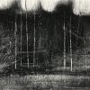 Dark Trees and Birch II, Monoprint by David A Parfitt RI