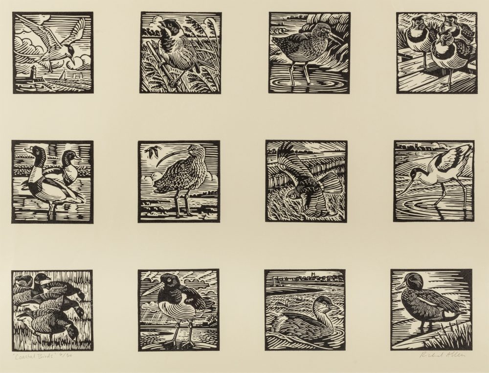Multiple Coastal Bird Print by Richard Allen, Limited edition linocut