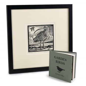 Garden Bird Gift Set by Richard Allen, Print and book