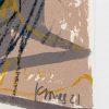 Signed detail of Gannet Flight Small by Kittie Jones