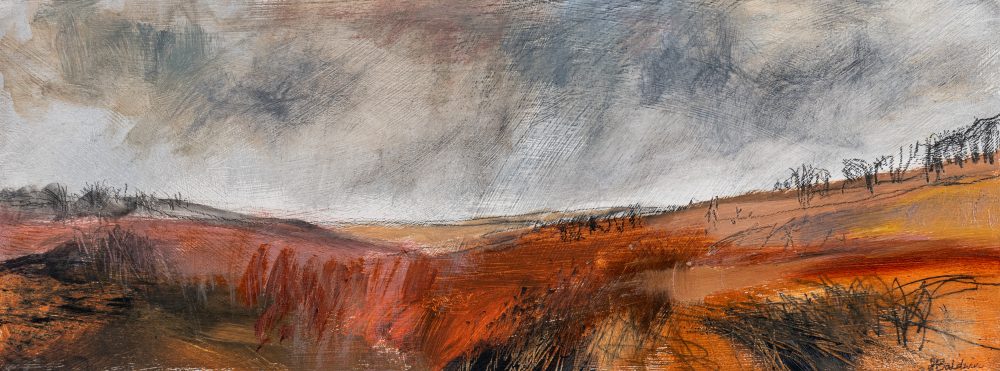 Scorched, oil, acrylic, charcoal, graphite and watercolour pencil by Janine Baldwin PS
