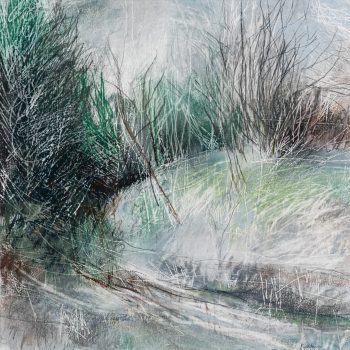 Evergreen II, pastel, charcoal and graphite on paper by Janine Baldwin PS