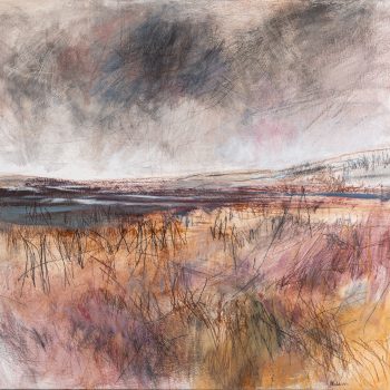 Heathland, oil, acrylic, charcoal, graphite and watercolour pencil by Janine Baldwin PS