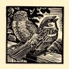 House Sparrow, limited edition linocut by Richard Allen SWLA