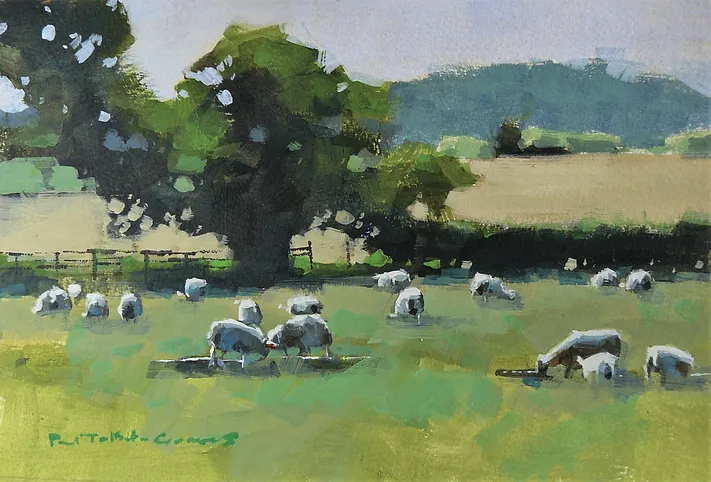 Sheep Fields, card by Paul Talbot-Greaves RI