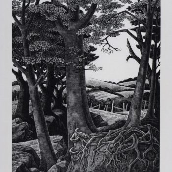 Gully, 32/150, wood engraving by Monica Poole (1921-2003)