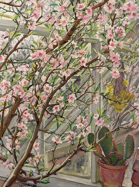 Peach Blossom, card by Laura Knight (1877-1970)